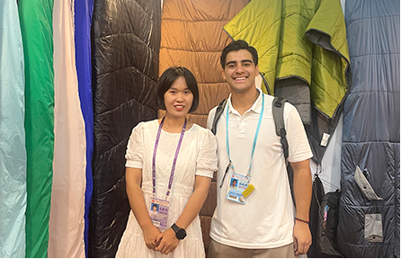 china expanded mesh panel manufacturers